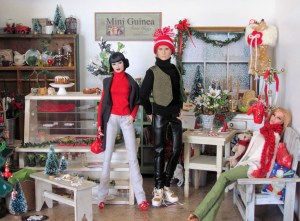 Christmas 2013 at The Mini Guinea